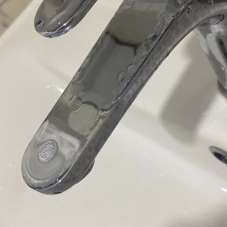 Artema Ovalis Bataryası: Kalıcı Lekeler Ve İletişim Sorunları