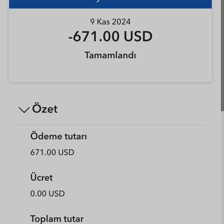 Güvenilir Sandığım Hesaptan 671 Dolar Çalındı