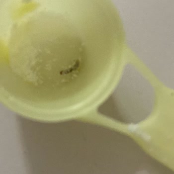 Bebek Mamasında Şok Edici Bulgu: Canlı Kurt!