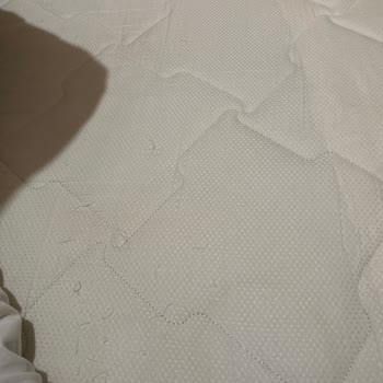 Halı Yıkama Makinesi Yatakları Mahvetti!