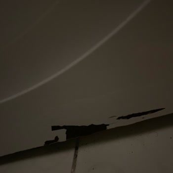 Bosch Çamaşır Makinesi Paslanma Sorunu Ve Garanti Problemi