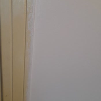 Marshall Boya Renk Sorunu: Sabun Köpüğü Yerine Lila