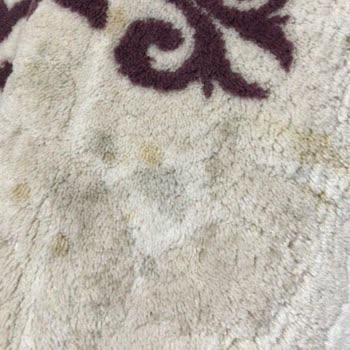 Toprak Halı Yıkama: Yanıltıcı Ücretlendirme Ve Kötü Hizmet