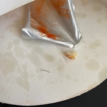 Burger King Köftelerinde Hijyen Sorunu: Hayvan Kılları