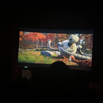Düzensizlik Ve Kaba Davranışlarla Dolu Sinema Deneyimi