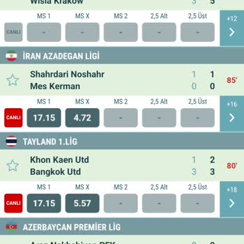 Yanlış Veri Aktarımı Mağduriyeti