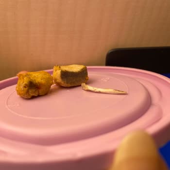 Yayla Tavuk Sote Ürününde Şok Edici Kalite Sorunu