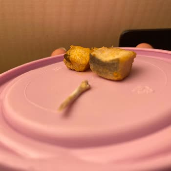 Yayla Tavuk Sote Ürününde Şok Edici Kalite Sorunu