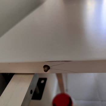 1 Aylık Mutfak Setinde Açılma Sorunu