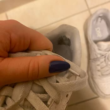 Asics Ayakkabının Kalite Sorunu Ve Beklenmedik Dağılma
