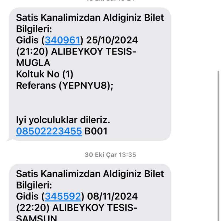 Güvenliğimiz Tehlikede: Alkollü Şoför Skandalı