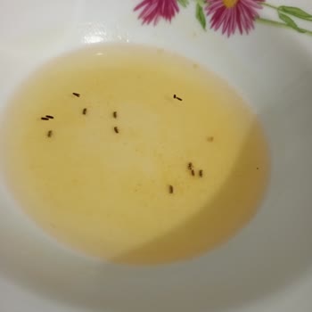 Beklenmedik Böcek Sürprizi