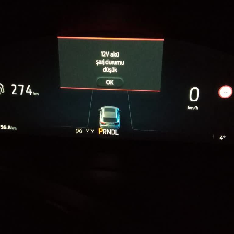 Yeni Ford Kuga İle Yaşanan Teknik Sorunlar