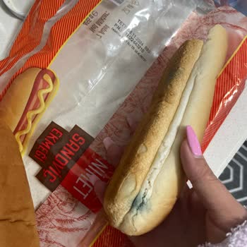 Küflü Sandviç Ekmeği Sorunu