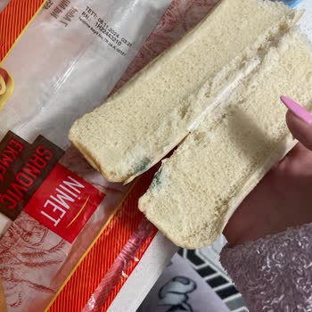 Küflü Sandviç Ekmeği Sorunu