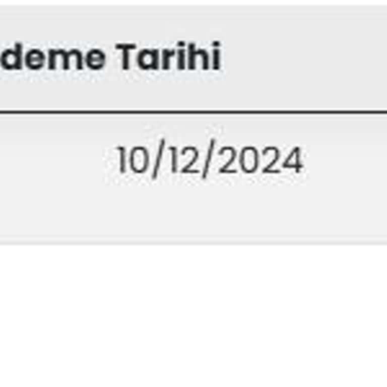 Webriva'dan Alınan Sunucu Neden Hâlâ Kullanılamıyor