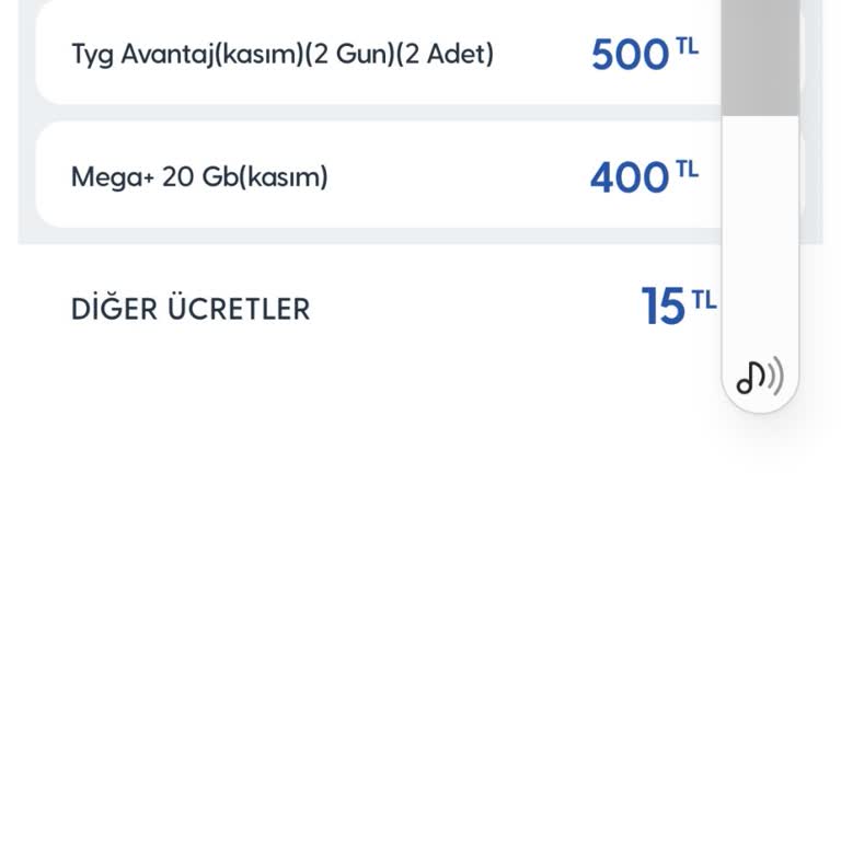 Yanlış Yurt Dışı Faturası Mağduriyeti