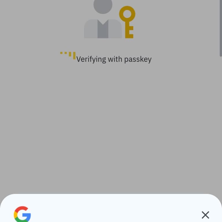 Binance Hesabına Giriş Sorunu