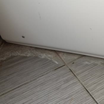 Devre Tatil Sistemindeki Hayal Kırıklığı: Yüksek Fiyatlar, Düşük Kalite