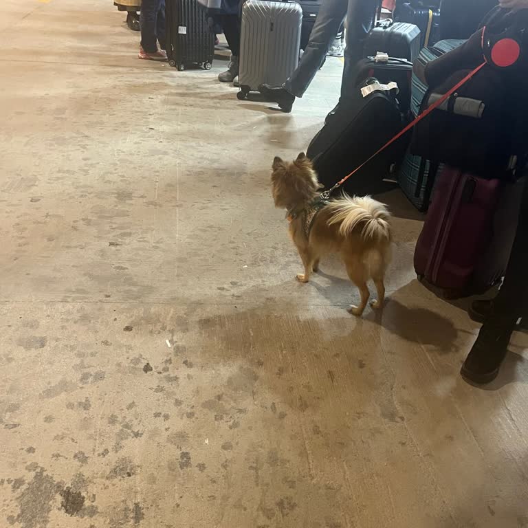 Havamaş'ın Belirsiz Sefer Saatleri Yolcuları Mağdur Ediyor