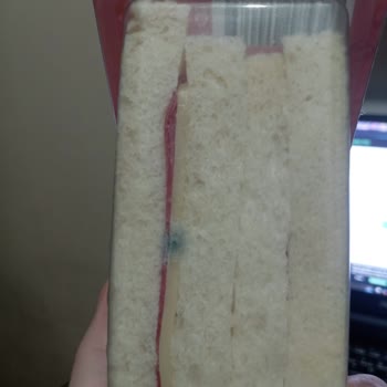 Küflü Sandviç Ve İade Sürecinde Yaşanan Sorunlar