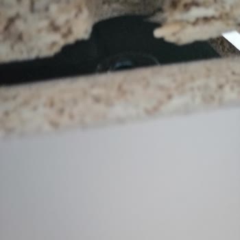 Doğtaş Mobilya'da Teslimat Ve Montaj Sorunları