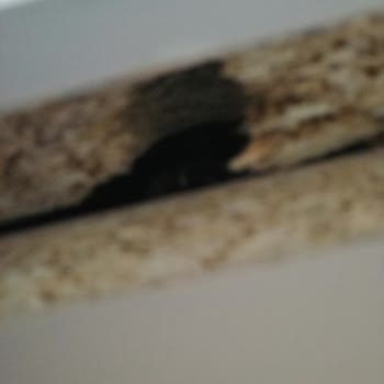 Doğtaş Mobilya'da Teslimat Ve Montaj Sorunları