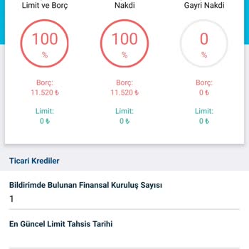 Bilinçsiz Kredi Kullanımı Ve Kimlik Güvenliği Sorunu