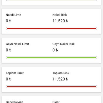 Bilinçsiz Kredi Kullanımı Ve Kimlik Güvenliği Sorunu