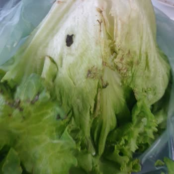 Mopaş Hipermarket Çürük Ürünlerle Karşılaşma