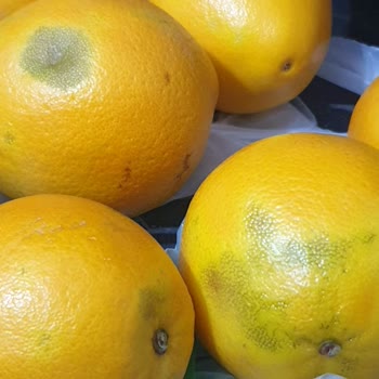 Mopaş Hipermarket Çürük Ürünlerle Karşılaşma