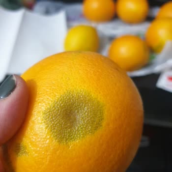 Mopaş Hipermarket Çürük Ürünlerle Karşılaşma