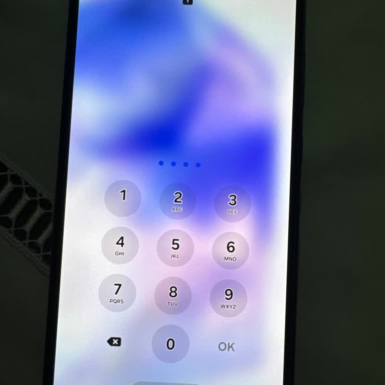 Samsung A55 Plus Ekran Kilidi Sorunu Acil Çözüm Bekliyor