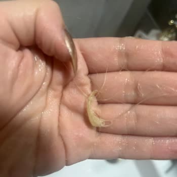 Saç Bakımı Fiyaskosu: Yanmış Ve Kopan Saçlar