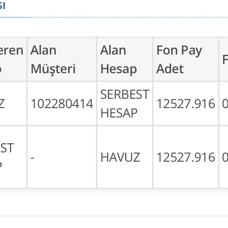 Bireysel Emeklilik İptali Sonrası Para İadesi Sorunu
