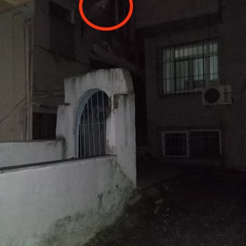 Sokak Aydınlatması Arızası: Bedaş'ın Çözüm Üretmeyen Yaklaşımı