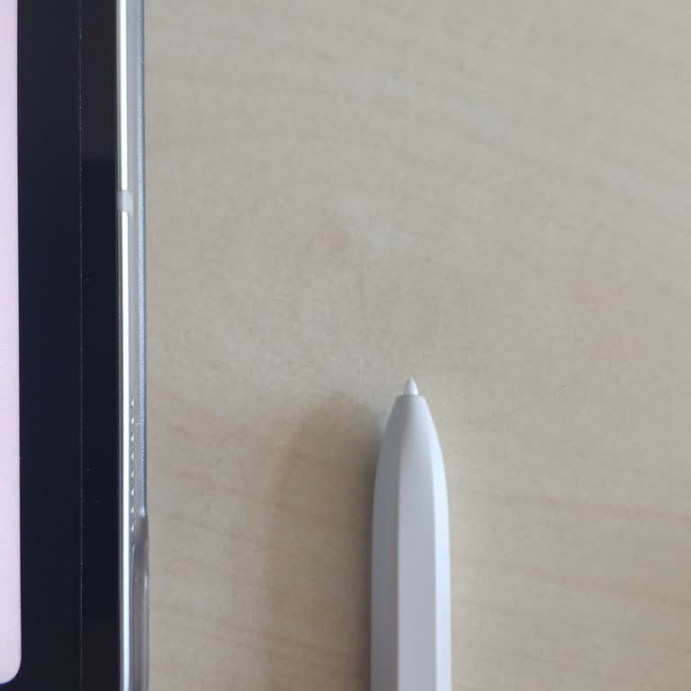 Samsung Galaxy TAB Kalem Ucu Sorunu