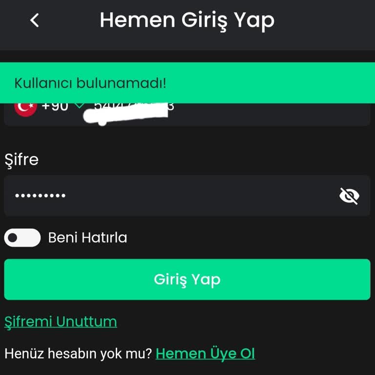 Hesap Giriş Sorunu Ve Erişilemeyen Destek