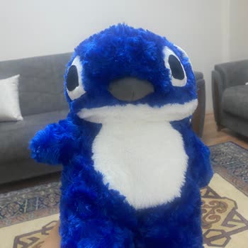 Peluş Oyuncak Hayal Kırıklığı