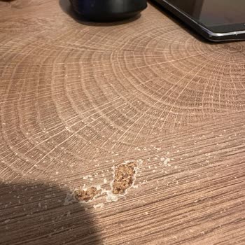 Kaliteli Ürün Beklentisi Hayal Kırıklığına Dönüştü