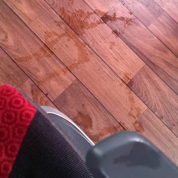 Otobüs Yolculuğunda Saygısızlık Ve İhmal