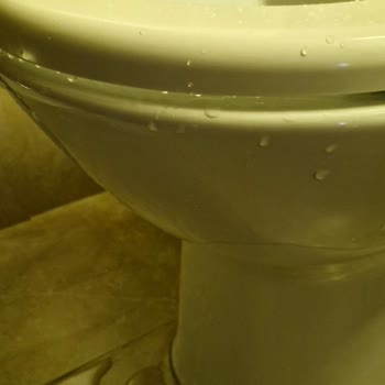 ECA Serel Klozette Hijyen Sorunu Ve Tasarım Hatası