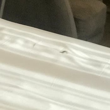 216 Suites Hijyen Sorunu