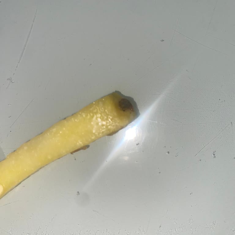 Dondurulmuş Patatesten Çıkan Şok Edici Sürpriz