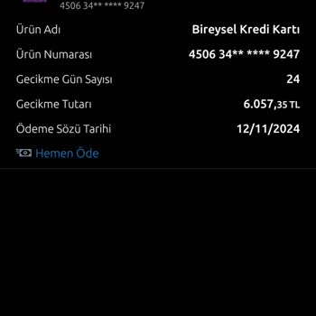 Yapı Kredi Bankası'nda Yanıltıcı Ödeme Sözü Sorunu