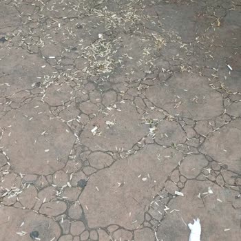 Atakum Parkında Güvenlik Ve Temizlik Sorunları