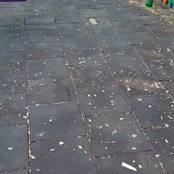 Atakum Parkında Güvenlik Ve Temizlik Sorunları