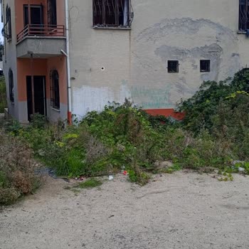 Atakum Parkında Güvenlik Ve Temizlik Sorunları