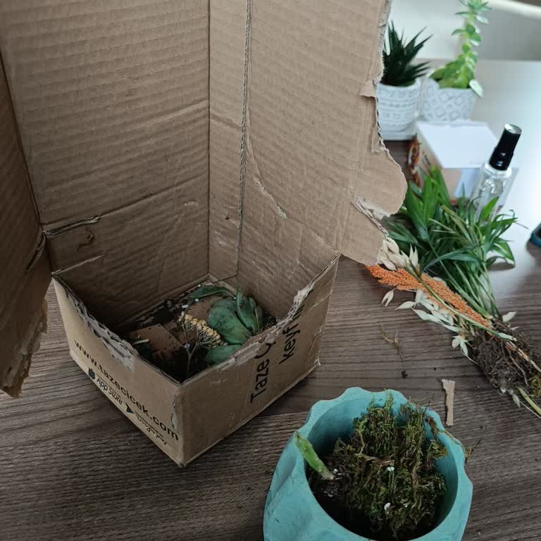 Yanlış Adrese Teslim Edilen Çiçek Ve Kötü Müşteri Hizmetleri