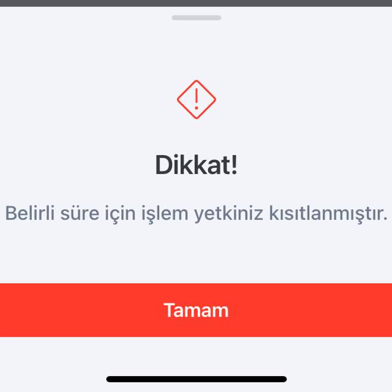 Üç Aydır Giriş Yapılamayan Hesap Sorunu